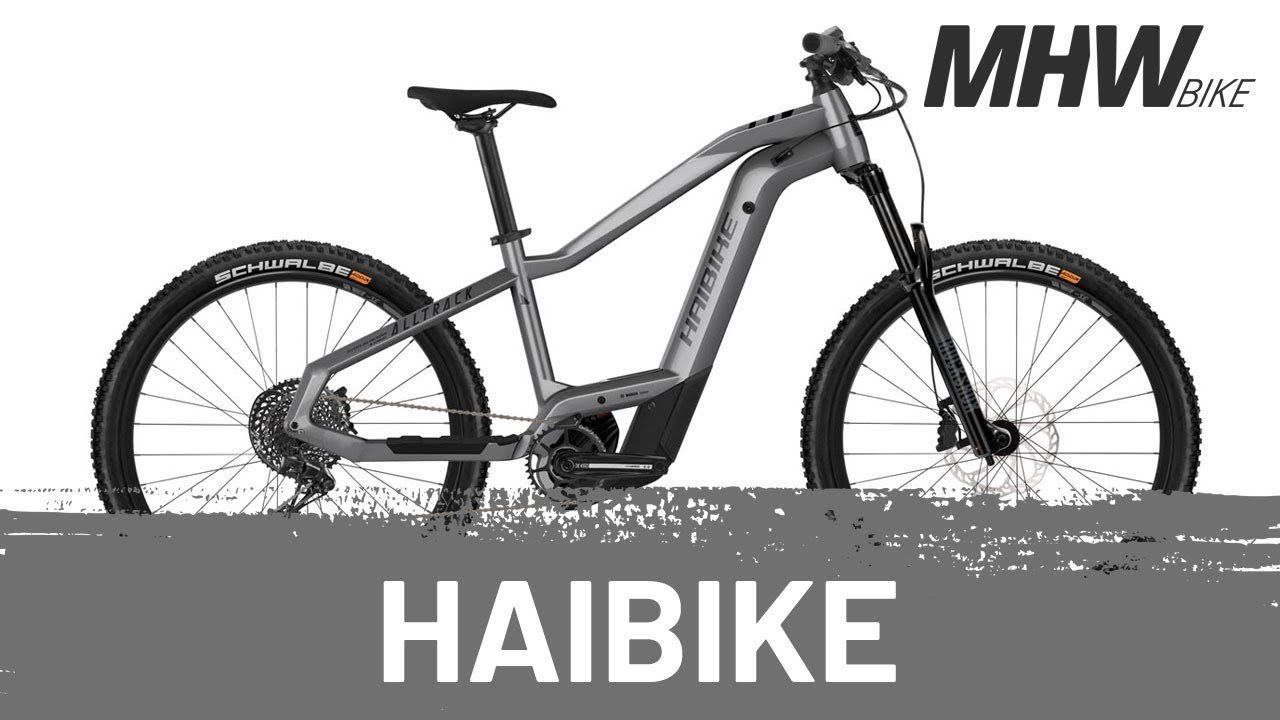 Haibike ALLTRACK 9 Argent Mat Brillant Noir - Image 2